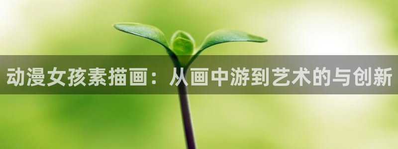 囧次元官网入口：动漫女孩素描画：从画中游到艺术的与创新