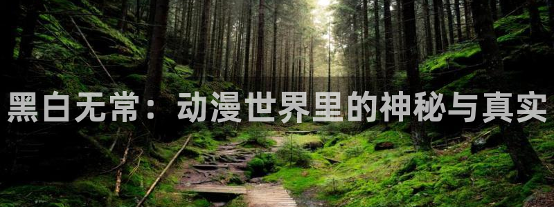 囧次元网页版入口：黑白无常：动漫世界里的神秘与真实