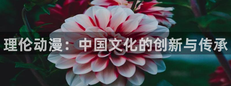 囧次元在线观看入口网址