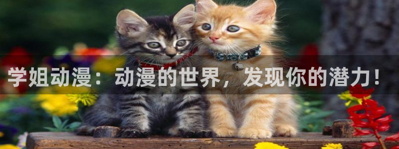 囧次元官方网址