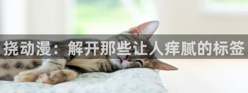 囧次元为什么打不开了
