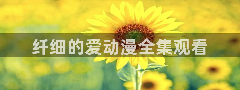囧次元官方入口官网