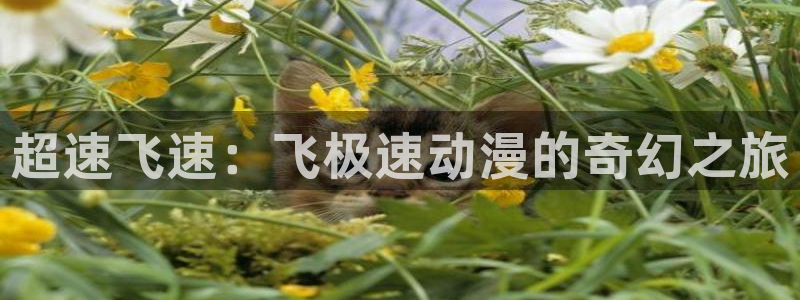 囧次元app官方正版下载