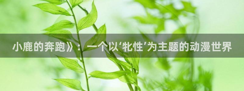 囧次元官方网址