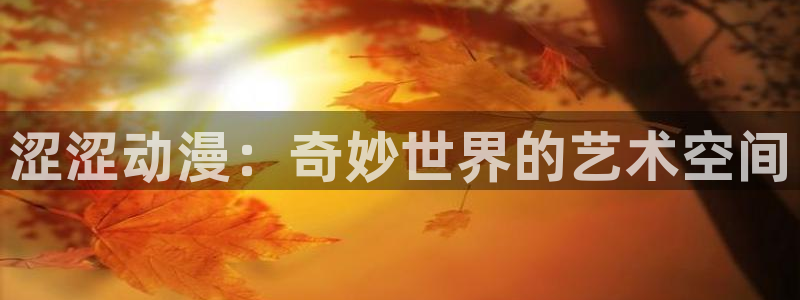 com.囧次元.www