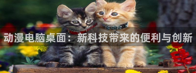囧次元下