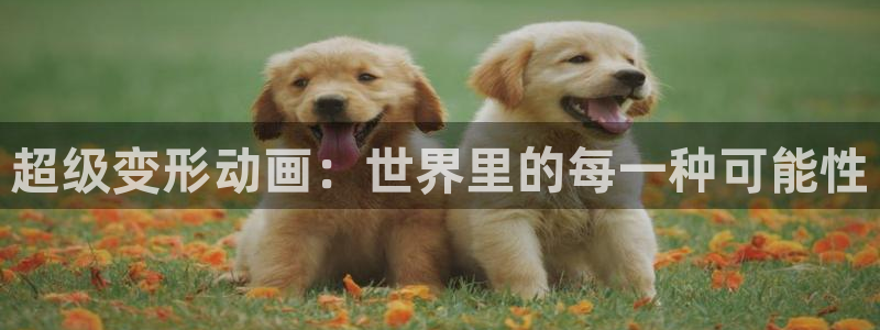 囧次元链接