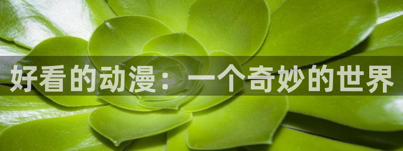 囧次元下载官方正版