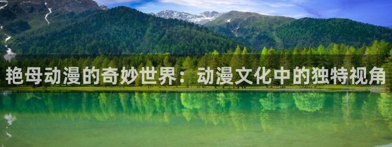 囧次元下载官方正版最新版