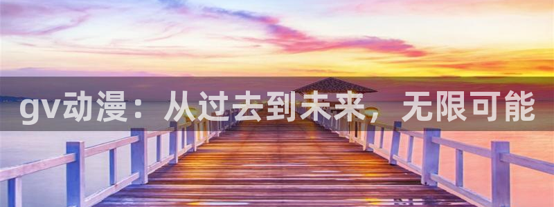 囧次元软件