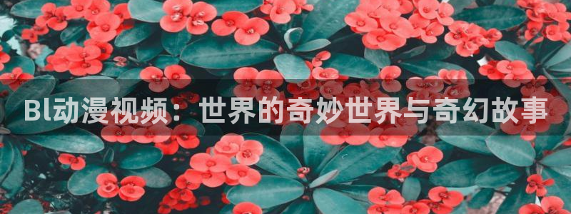 囧次元ios官网入口