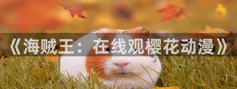 囧次元看动漫