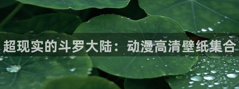 囧次元动漫官网下载入口