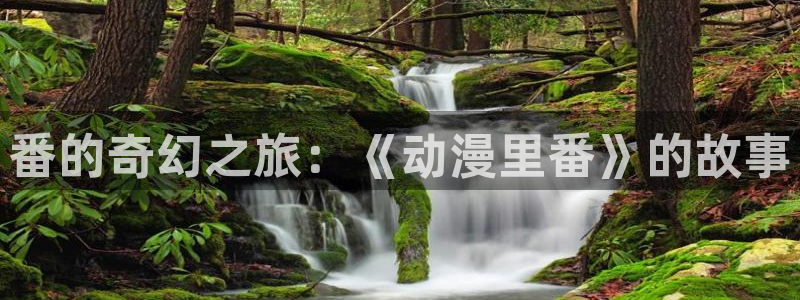 囧次元官网下载：番的奇幻之旅：《动漫里番》的故事