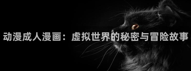 囧次元.apk