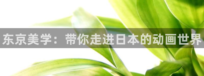 囧次元app官方版下载