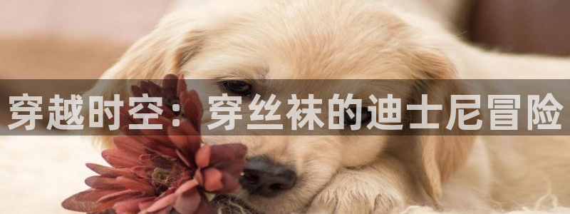 囧次元.