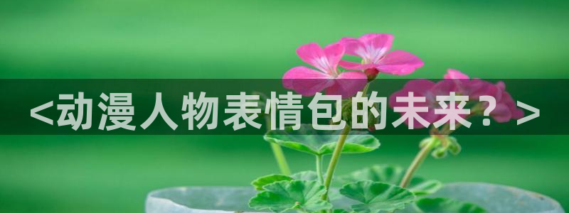 囧次元为什么打不开了：<动漫人物表情包的未来？>