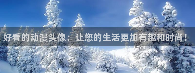 囧次元app下载官方最新