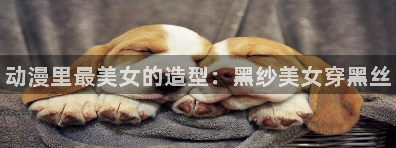 囧次元下载最新