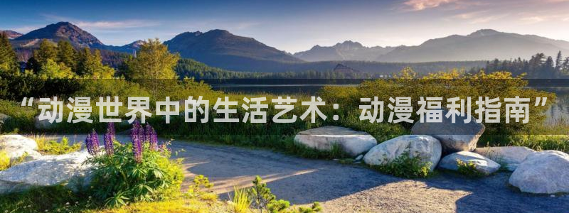 囧次元官方网站入口：“动漫世界中的生活艺术：动漫福利指南”