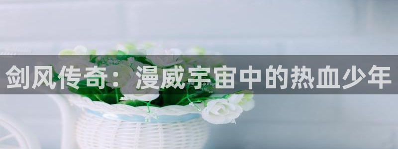 囧次元正版app下载入口：剑风传奇：漫威宇宙中的热血少年